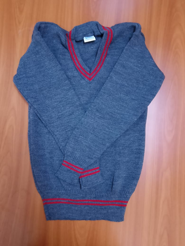 Grey V-Neck School Sweater